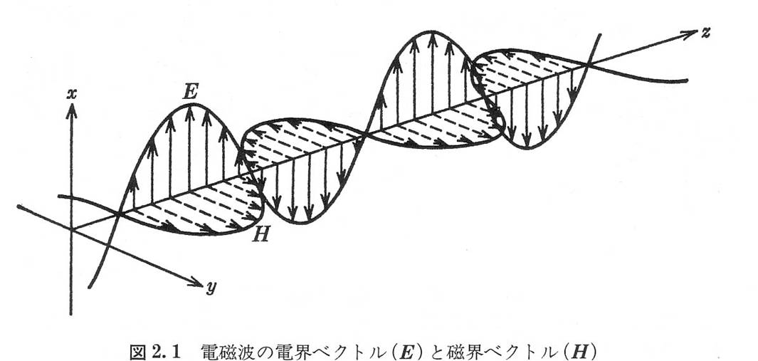 直線偏光