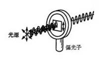 偏光子